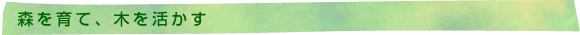 森づくり活動